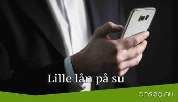 Lille lån på su