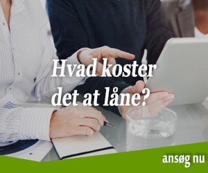 Hvad koster det at låne