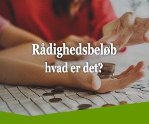 Rådighedsbeløb, hvad er det?