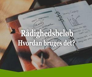 Rådighedsbeløb, hvordan bruges det?